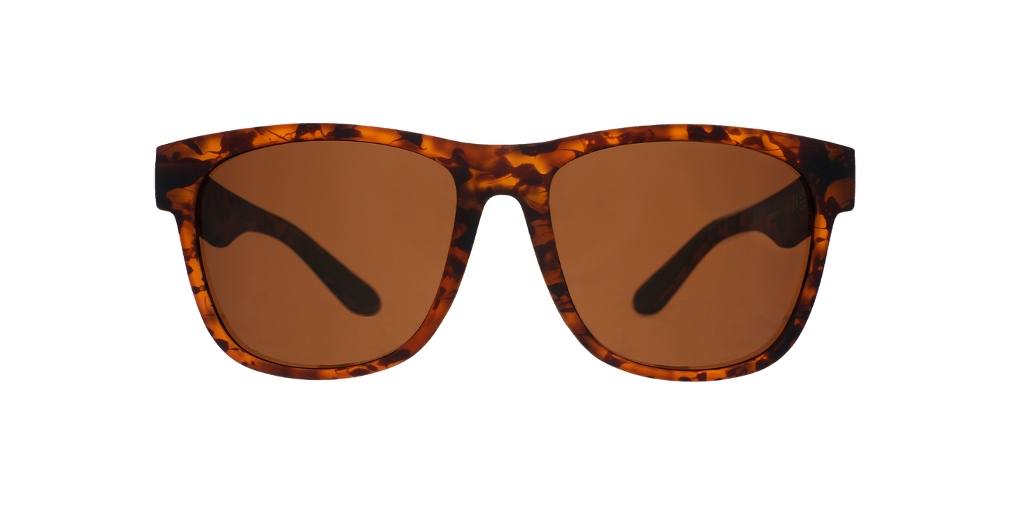 Hellhound Hallucinations